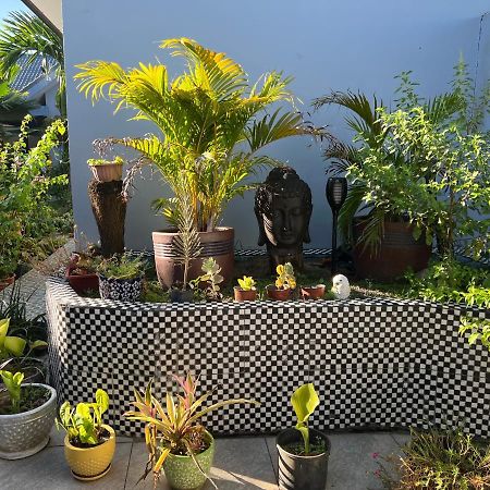 Pasifika Guesthouse Nadi Dış mekan fotoğraf