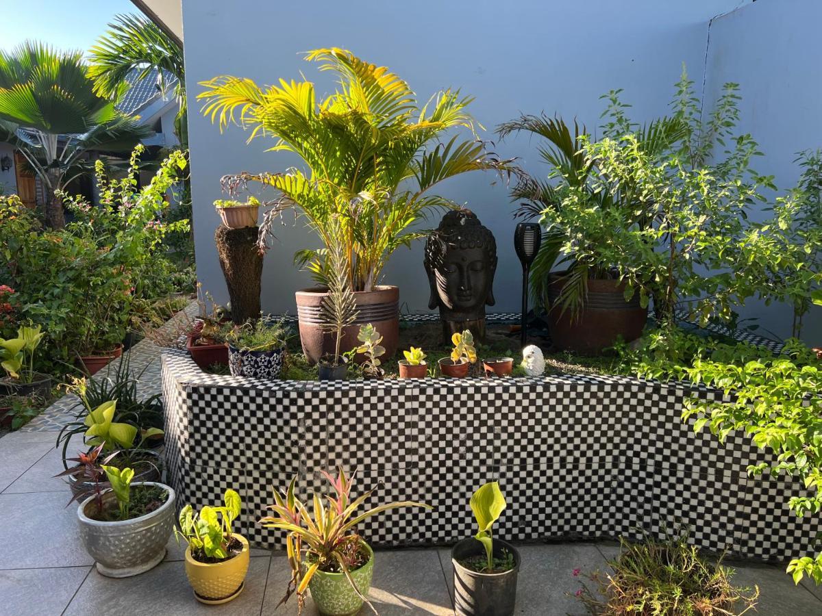 Pasifika Guesthouse Nadi Dış mekan fotoğraf